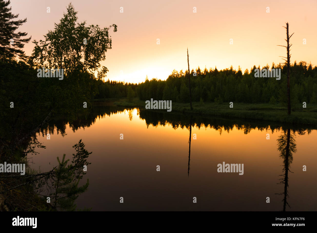 Beautiful sunset at the forest river Stock Photo - Alamy