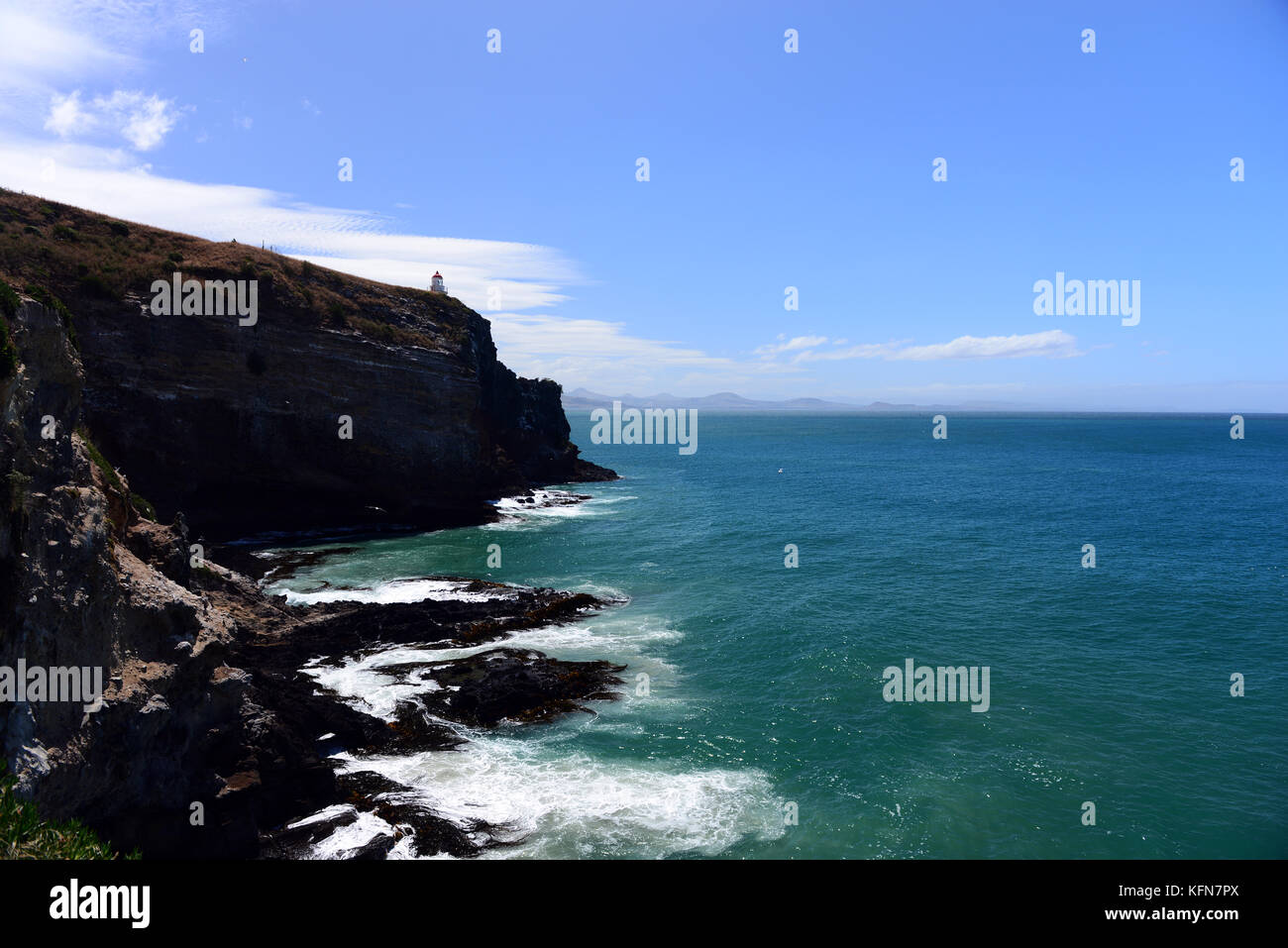 Auckland islands and albatross hi-res stock photography and images - Alamy