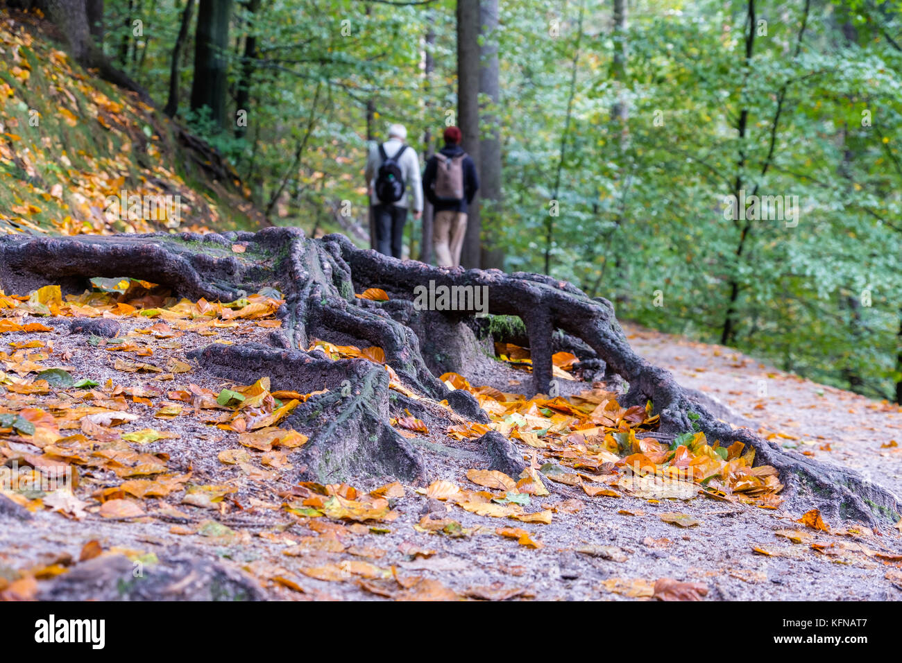 Herbst im Elbsandsteingebirge Region Bad Schandau Schrammsteine Stock Photo
