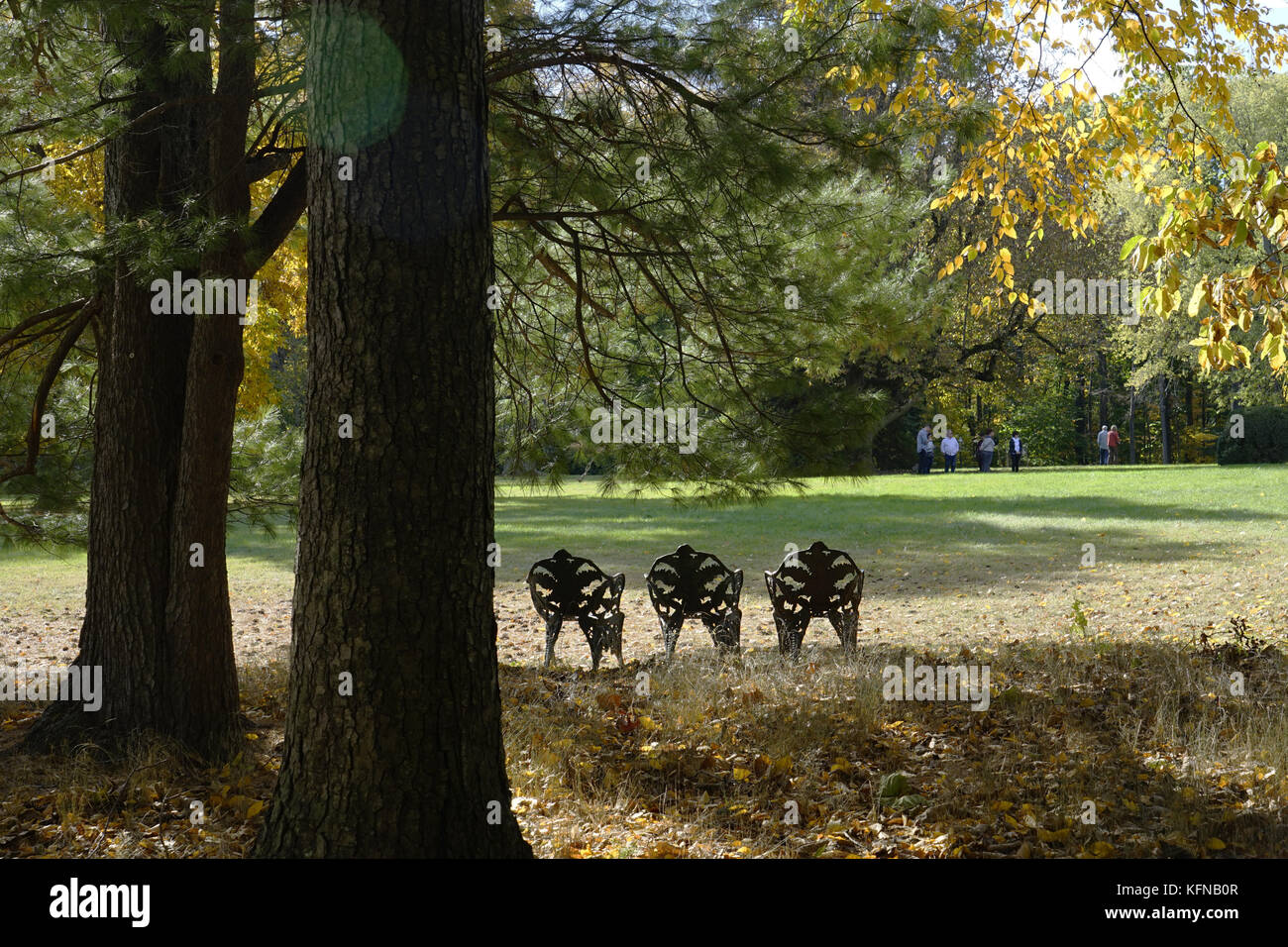 The autumn color in the garden of Glenmont Estate the home of Thomas Edison inside of Llewellyn Park in West Orange,New Jersey,USA Stock Photo