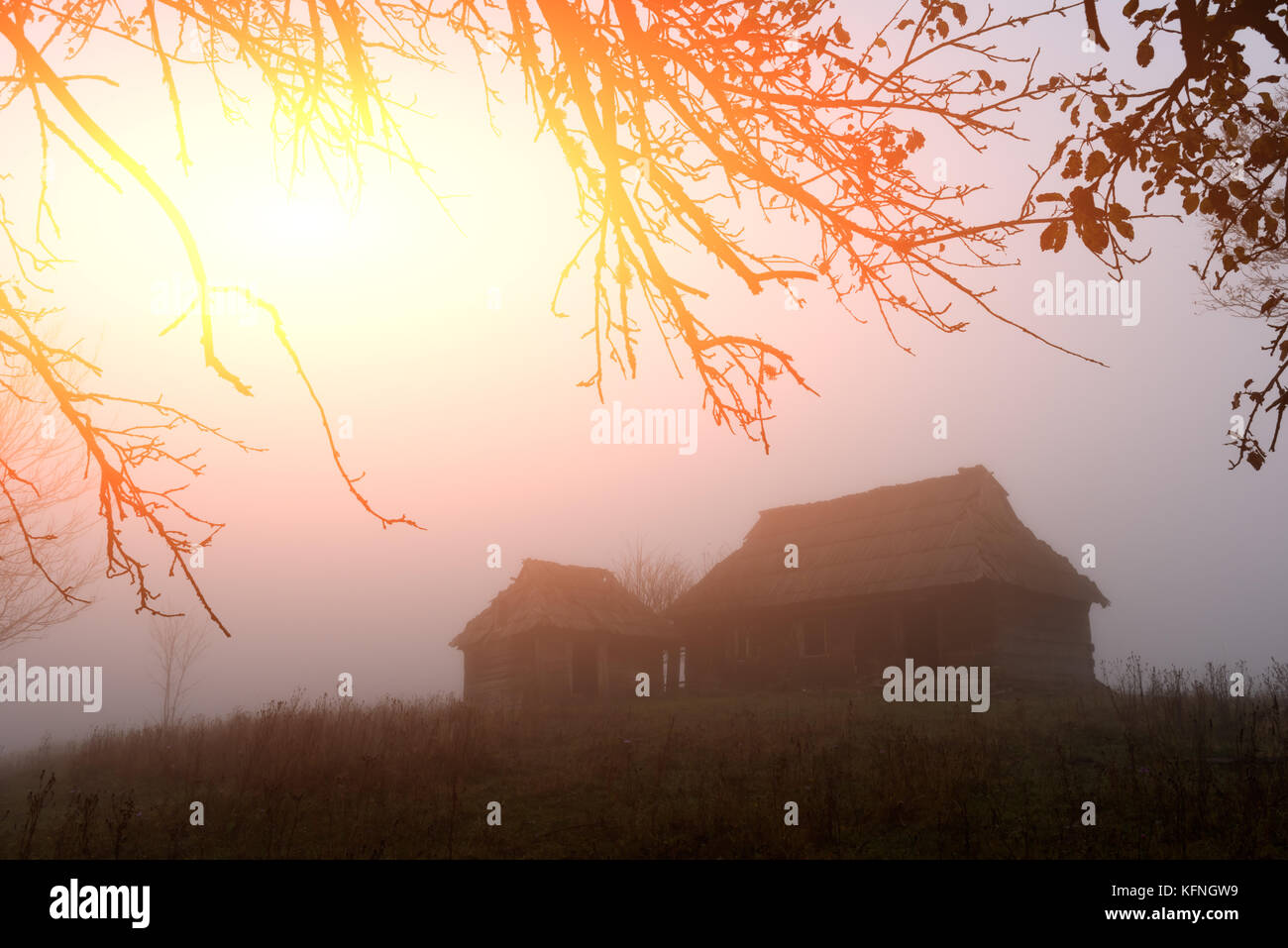 Alone house on foggy meadow Stock Photo