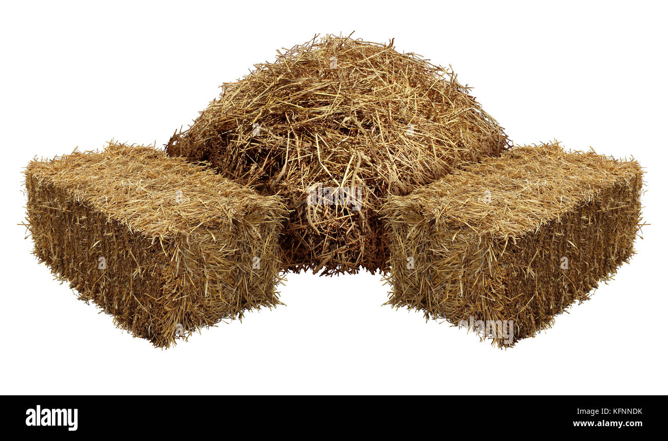 Piles of hay isolated on a white background as an agriculture farm and farming symbol of harvest time with dried grass straw as a mountain. Stock Photo