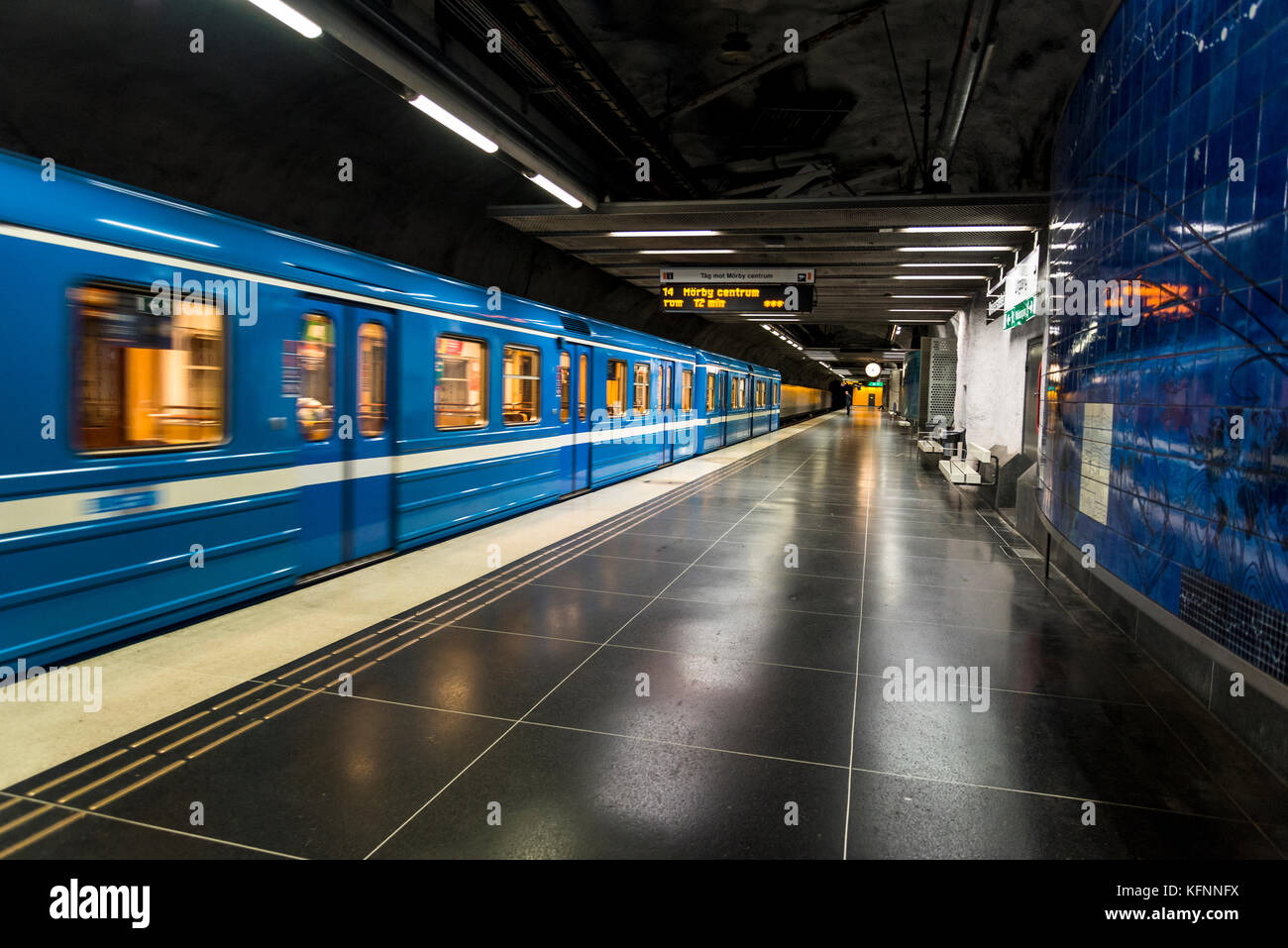 Universitetet Metro Station Artwork Celebrating Carl Von Linne And - 