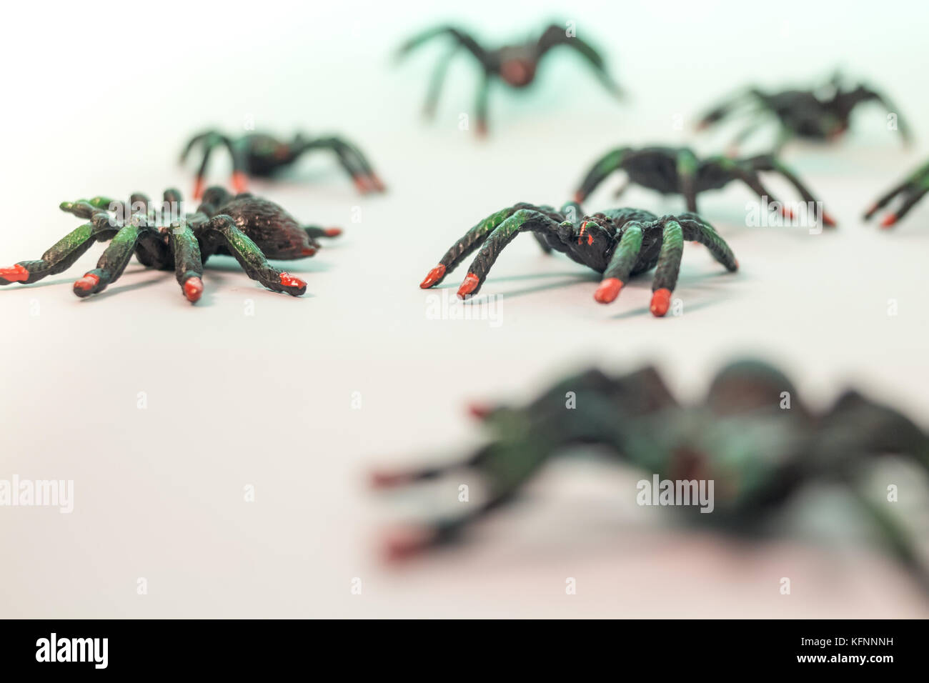 Many toy plastic spiders on white backdrop Stock Photo