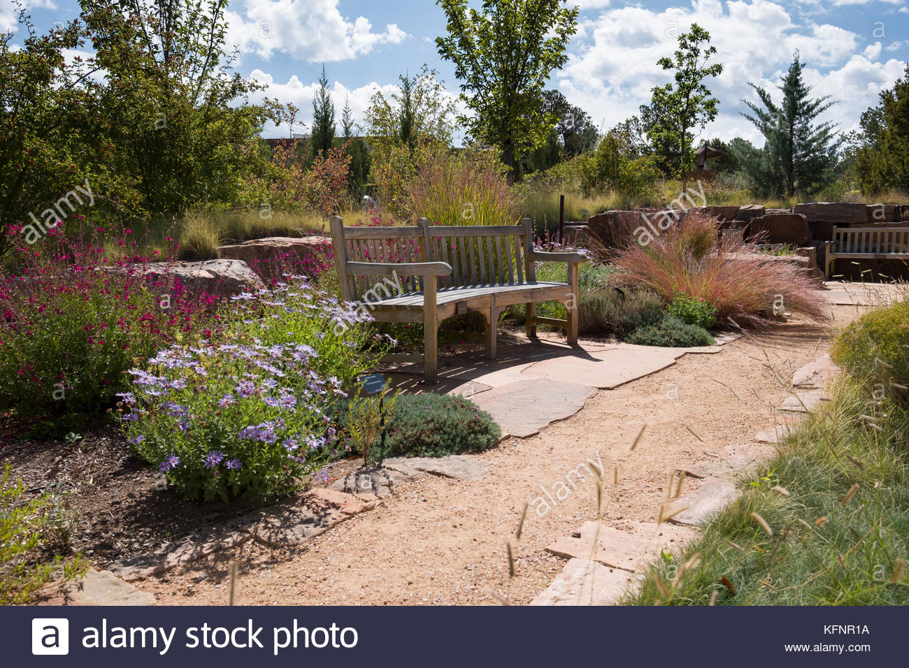 Wooden Bench Set Among Flowering Plants In The Meadow Garden Area