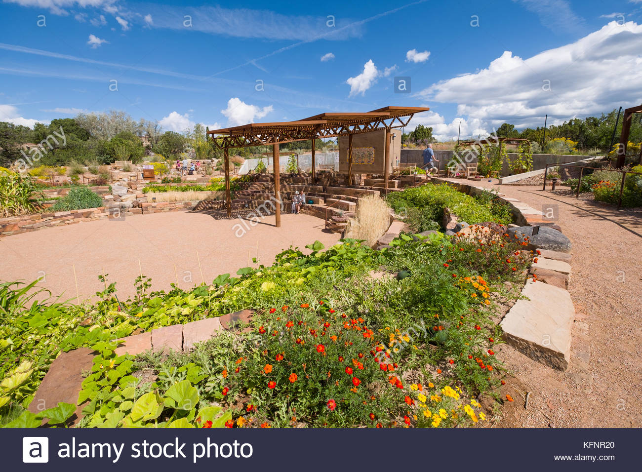 Amphitheater In The Ethnobotanical Garden Ojos Y Manos Eyes And