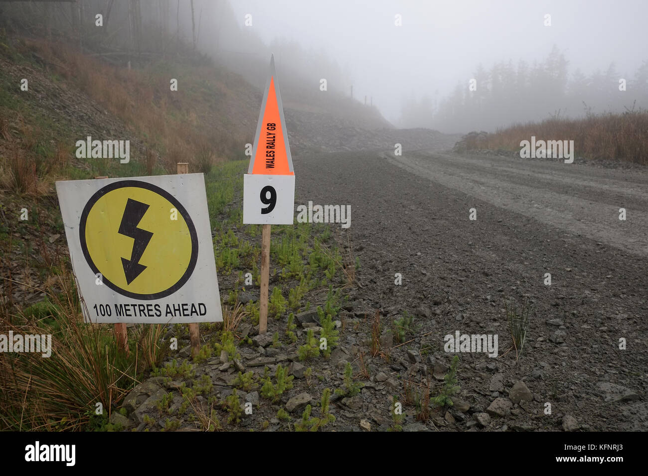 October 2017 - Special stage rally safety signs on the World Rally Championship event Wales Rally GB on a Foggy stage on Saturday. Stock Photo