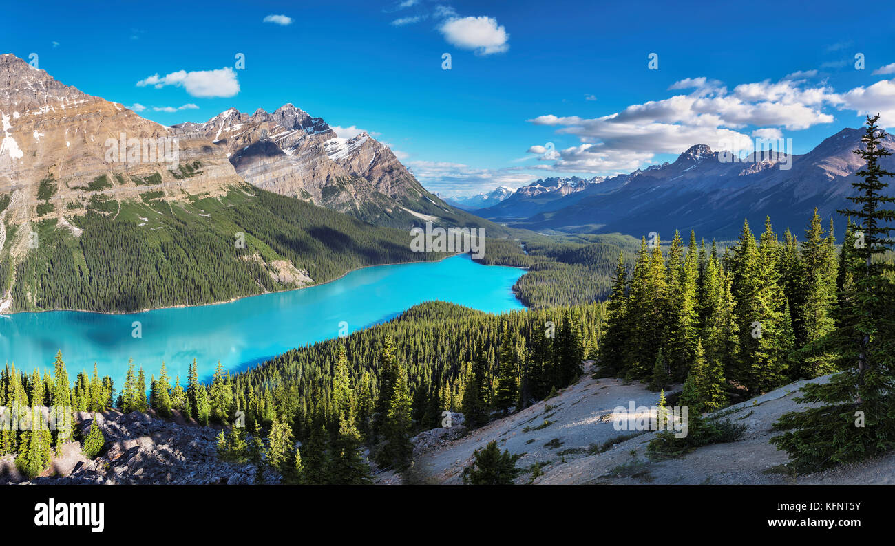 Panorama of Peyto Lake in Banff National Park, Canada Stock Photo - Alamy