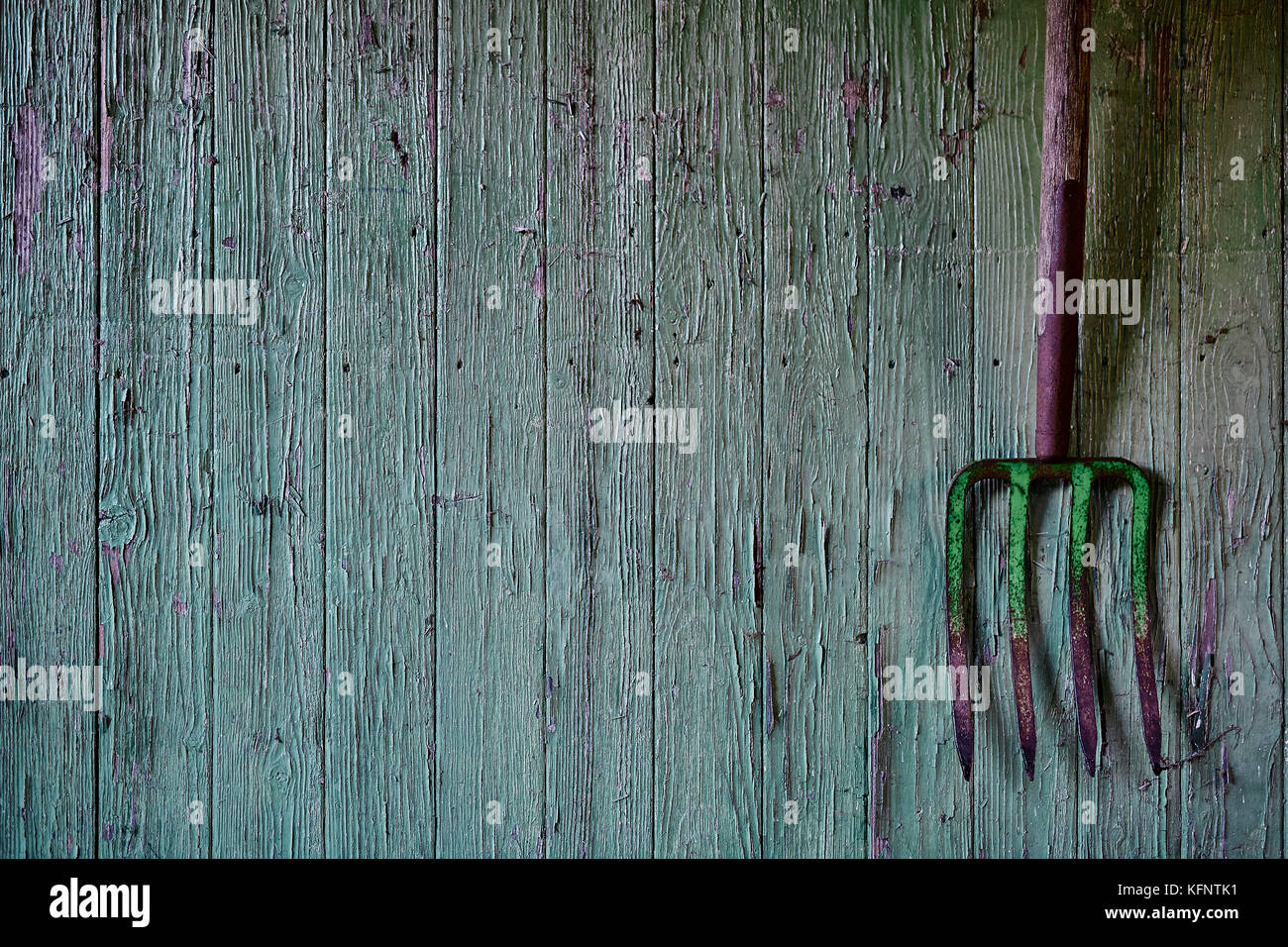 vintage pitchfork on green used wood Stock Photo Alamy