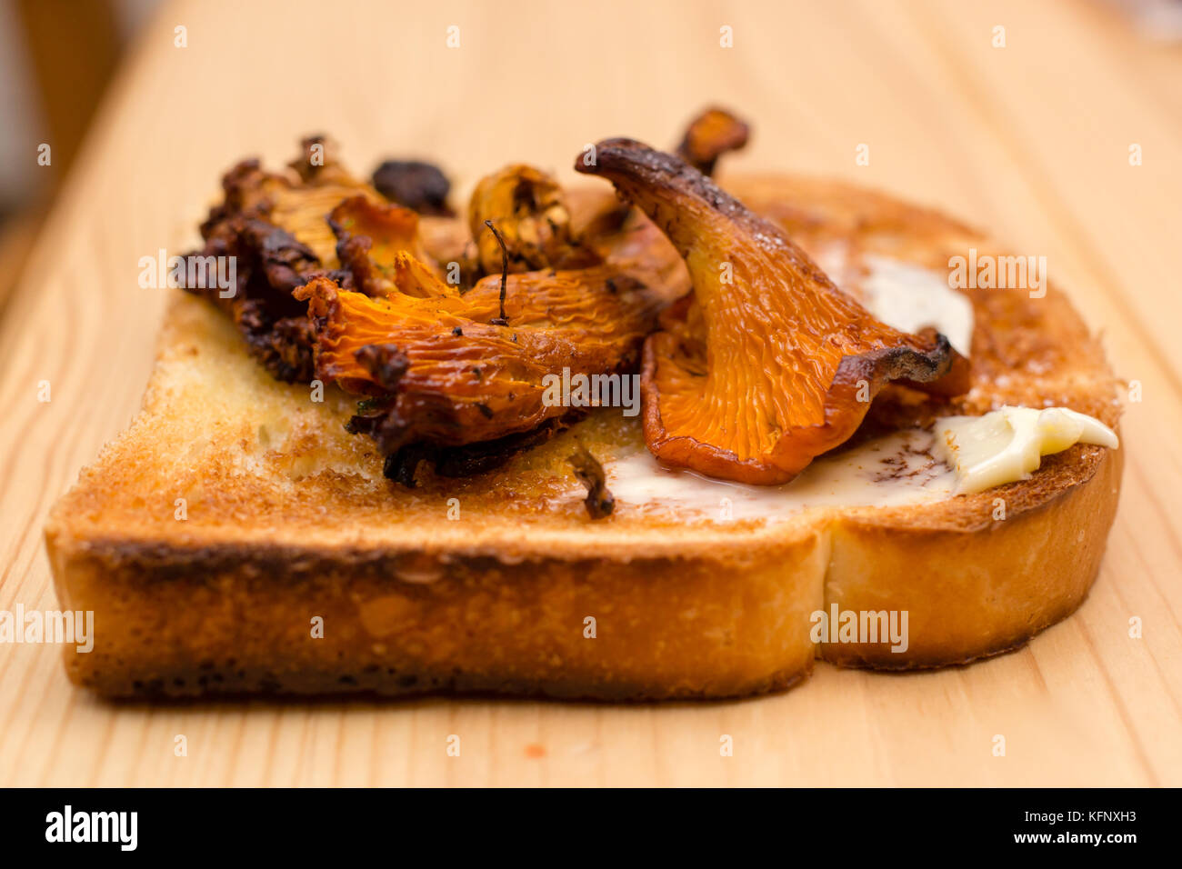 several handpicked chanterelles Stock Photo