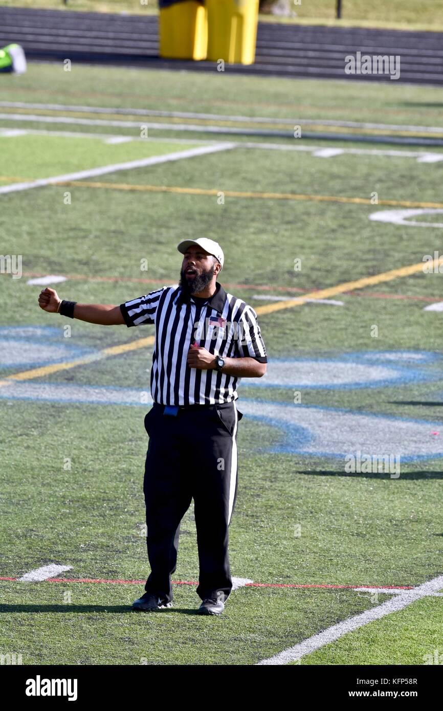 Football referee making a call Stock Photo Alamy