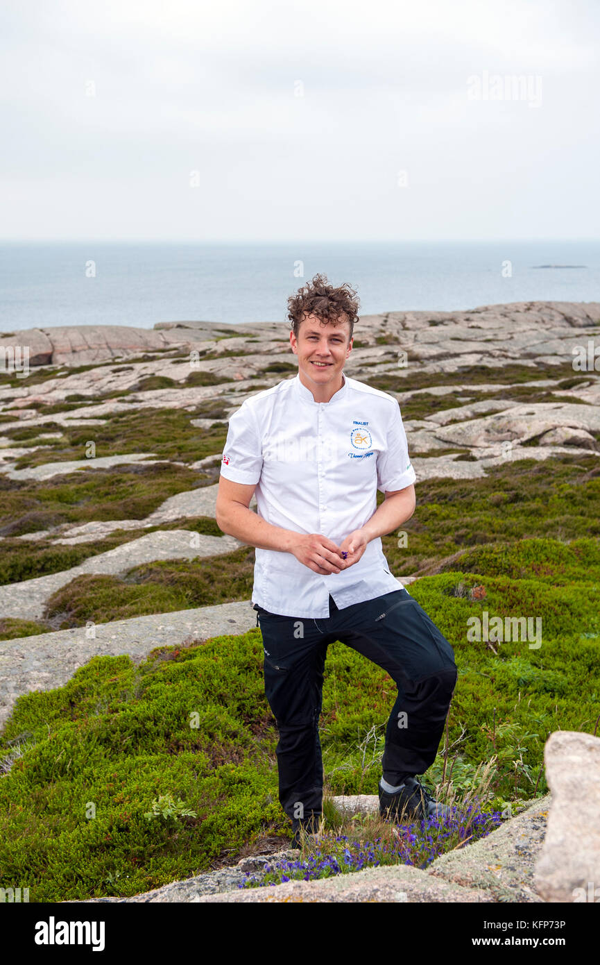 Thomas Sjögren, the 2015 Chef of the Year in Sweden and owner chef of Skäret Krog in Smögen foraging for food on Smögen's coastline, West Sweden. Stock Photo