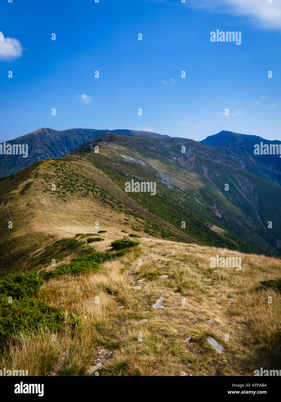 Summer landscape on top of the mountains in Parang, Carpathian Mountains, Romania, Europe. Stock Photo
