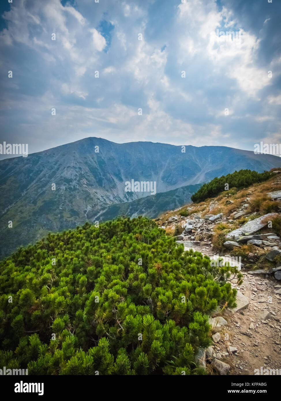 Pathway to the Mija Peak in the Carpathian Mountains, Romania, Europe Stock Photo