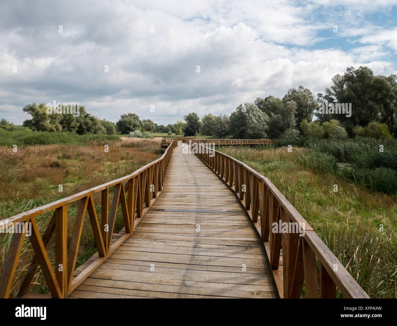 Wooden walk bridge hi-res stock photography and images - Alamy