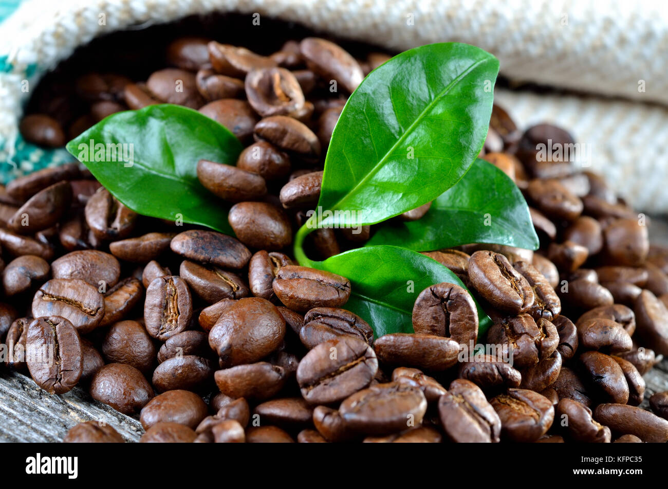 Roasted coffee beans with leaves of a coffee plant Stock Photo Alamy