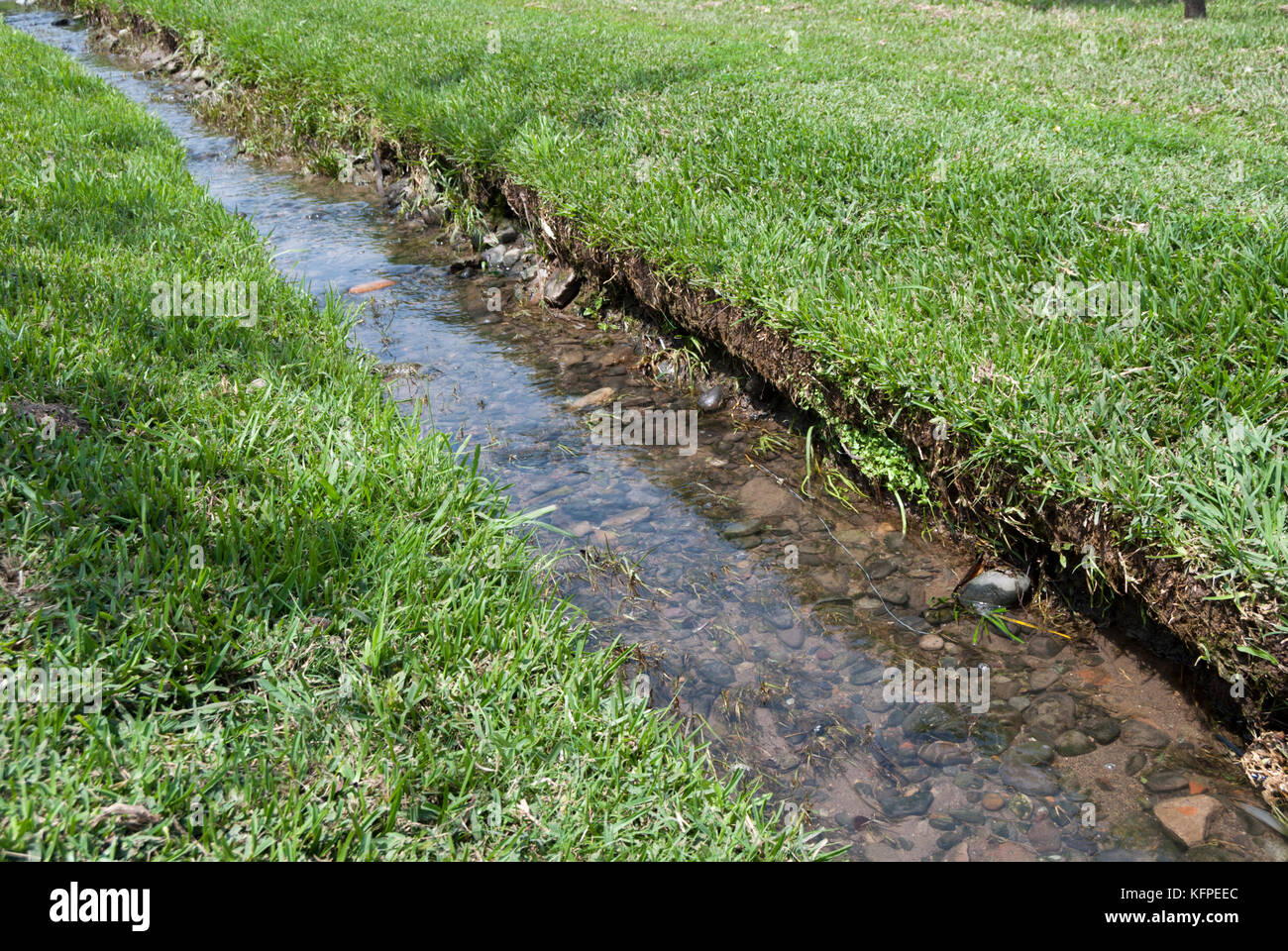 Iirrigation channel on a large park / Acequia  o canal de regadío Stock Photo