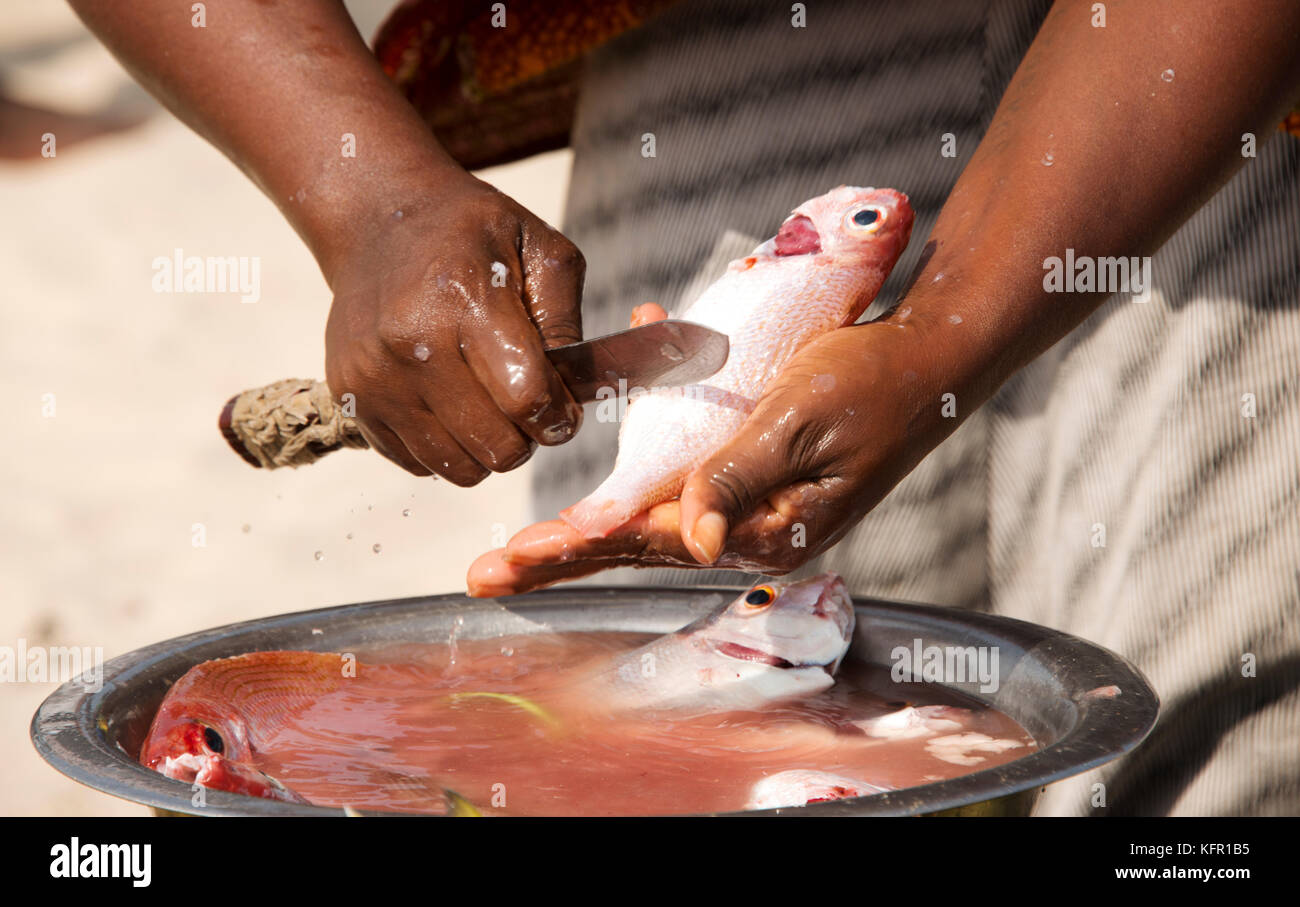 Preparing fish Stock Photo - Alamy