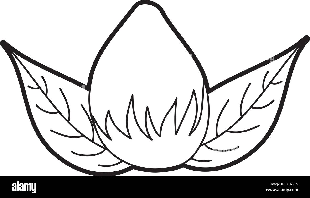 flower bulb nature leaves foliage decoration icon Stock Vector Image