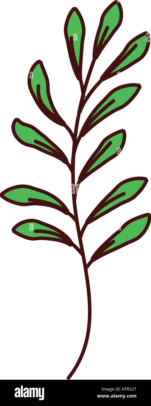 branch plant with leaves natural foliage garden Stock Vector Image ...