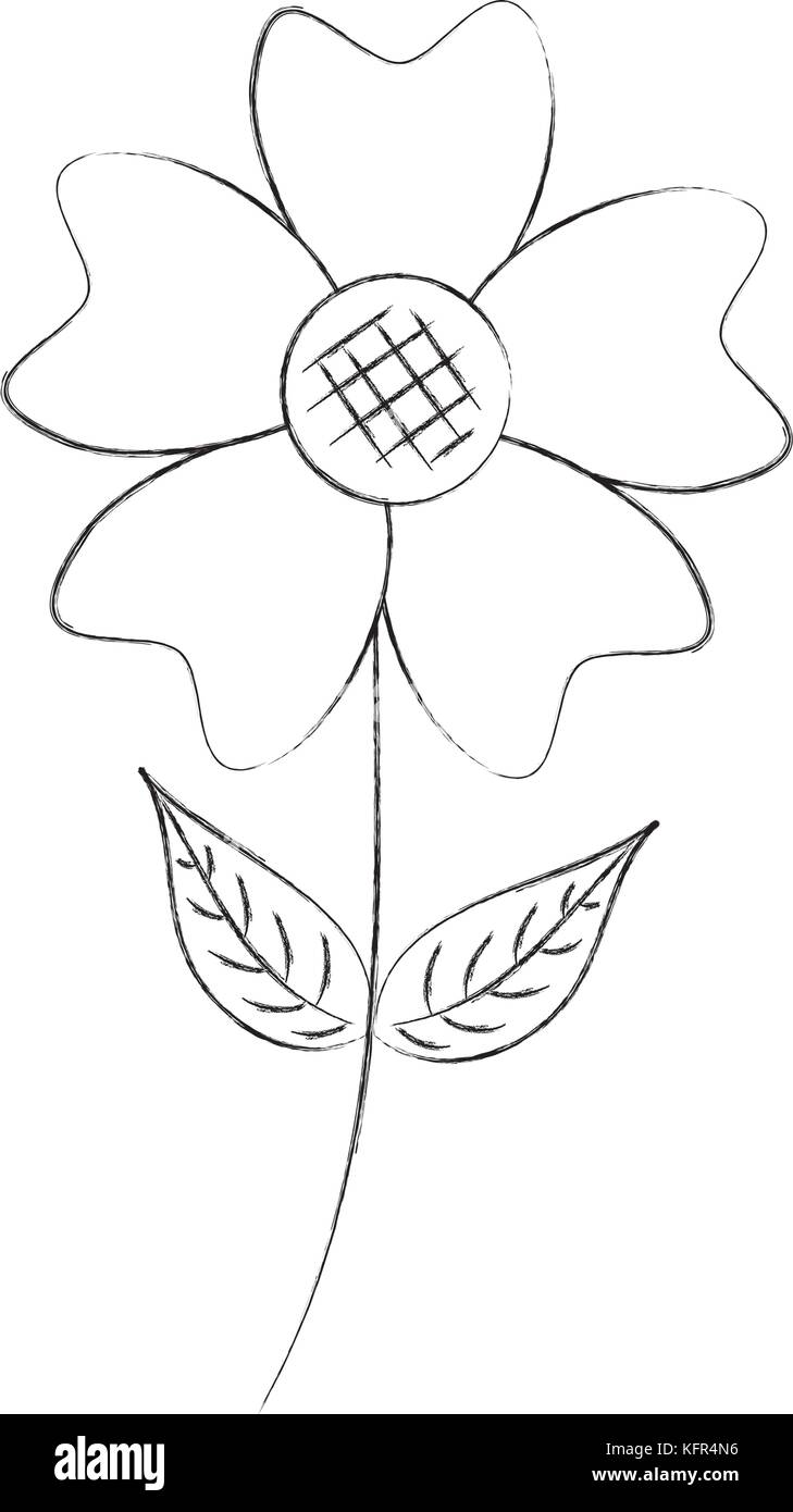 periwinkle flower drawing