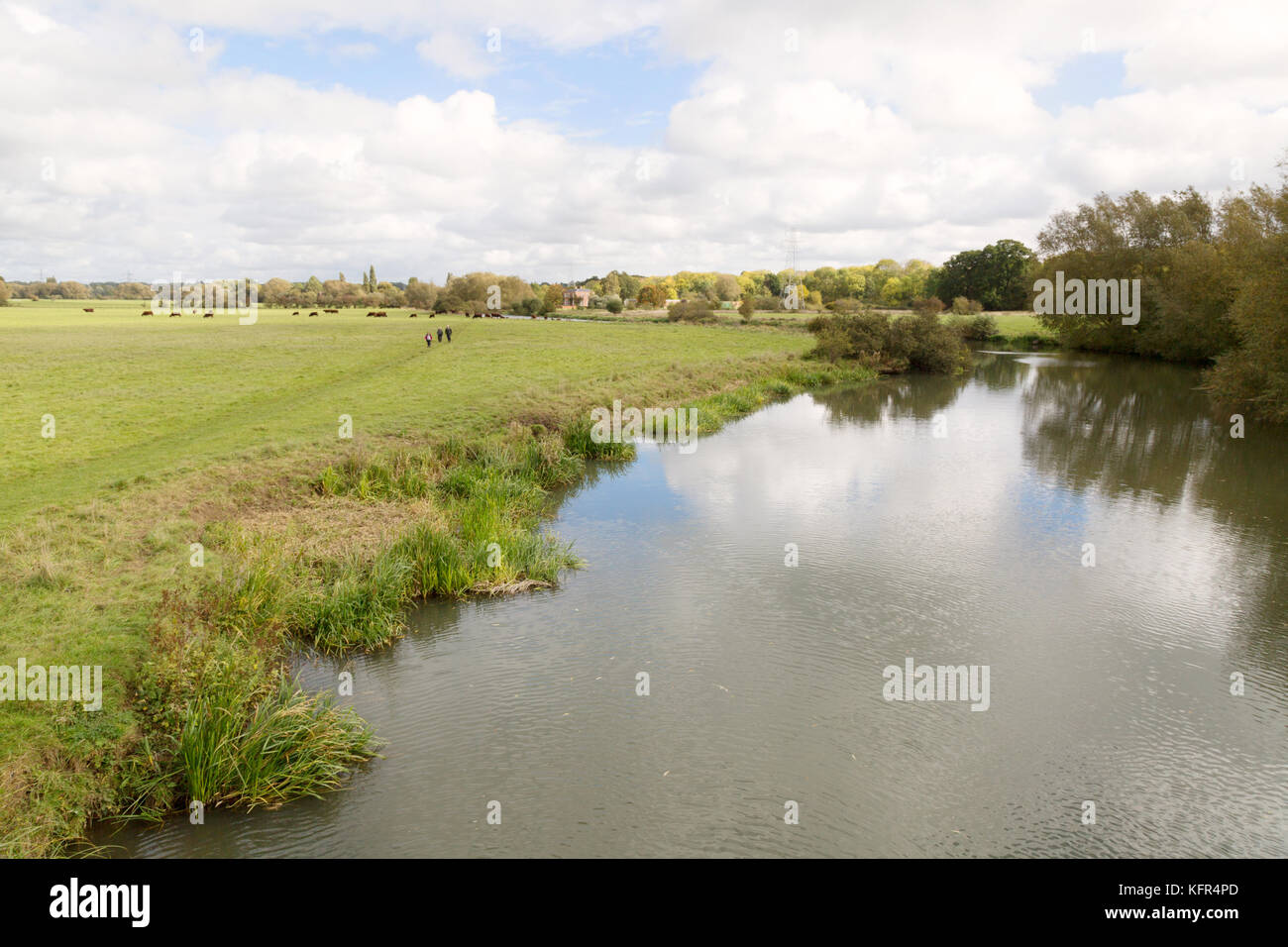 Thames path, the upper reaches of the River Thames at Northmoor, Oxfordshire UK Stock Photo