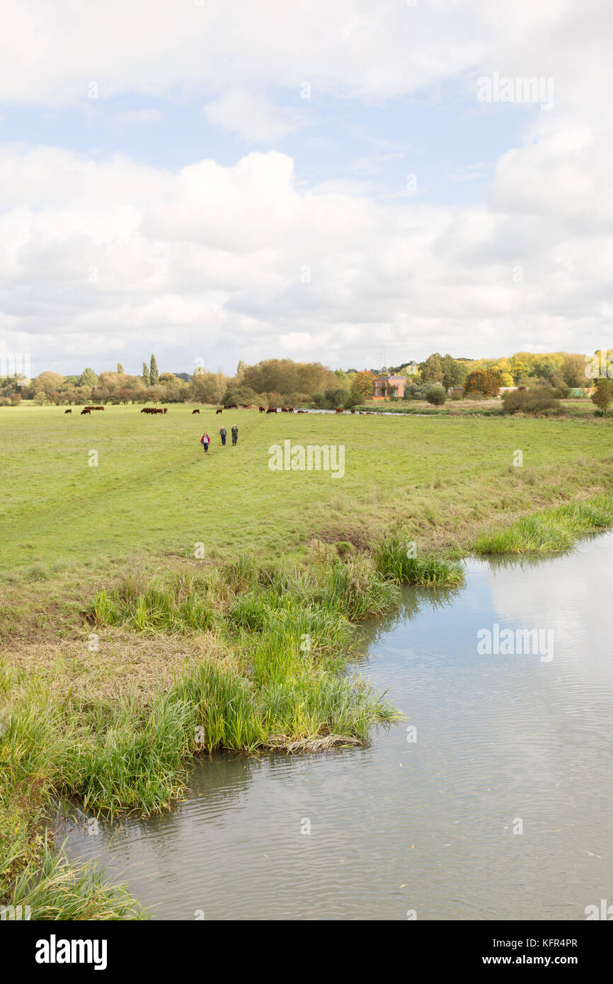 the upper reaches of the River Thames at Northmoor, Oxfordshire UK Stock Photo