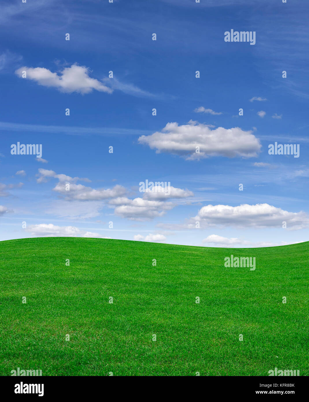 Green grass field and blue sky Stock Photo - Alamy
