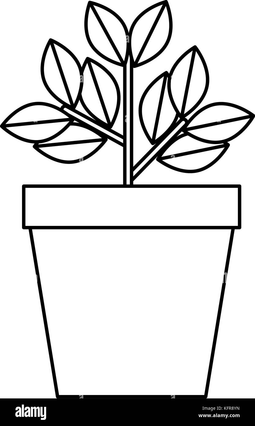 house plant in pot Stock Vector Image & Art - Alamy