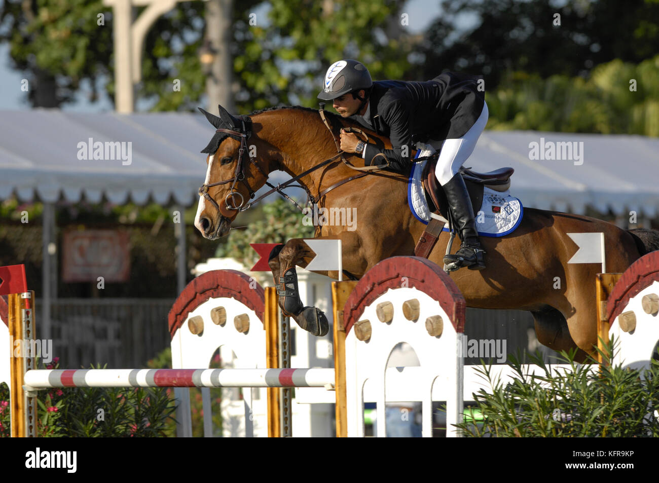 Pessoa Ridden Rodrigo pessoa oasis hi-res stock photography and images - Alamy