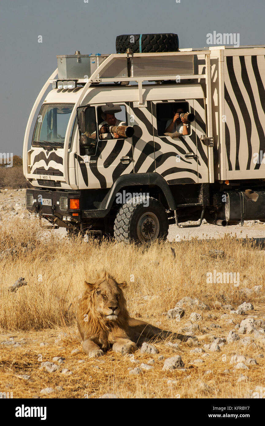 Zebra painted truck hires stock photography and images Alamy