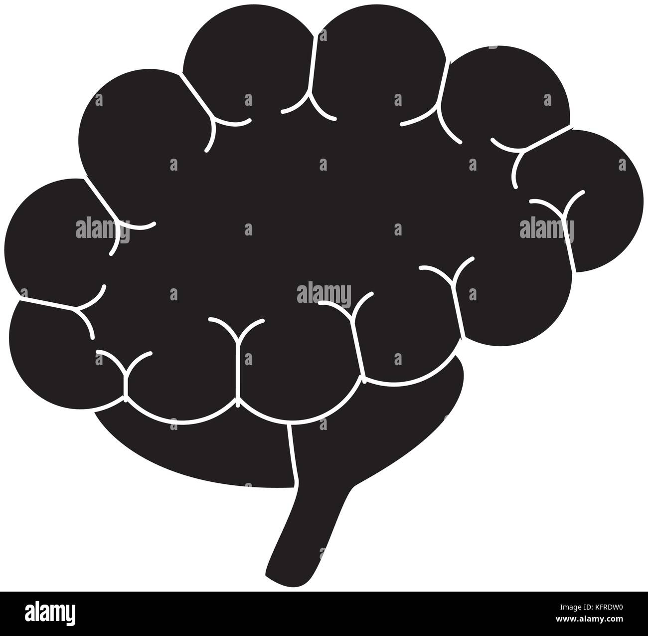 Human brain isolated Stock Vector Image & Art - Alamy