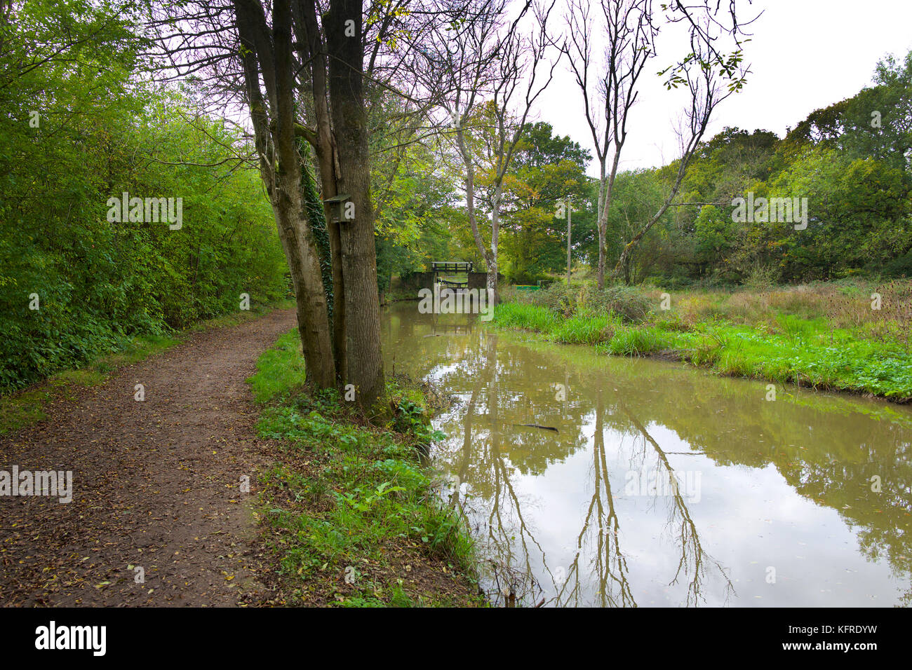 Wey and Arun Canal, near Loxwood Stock Photo