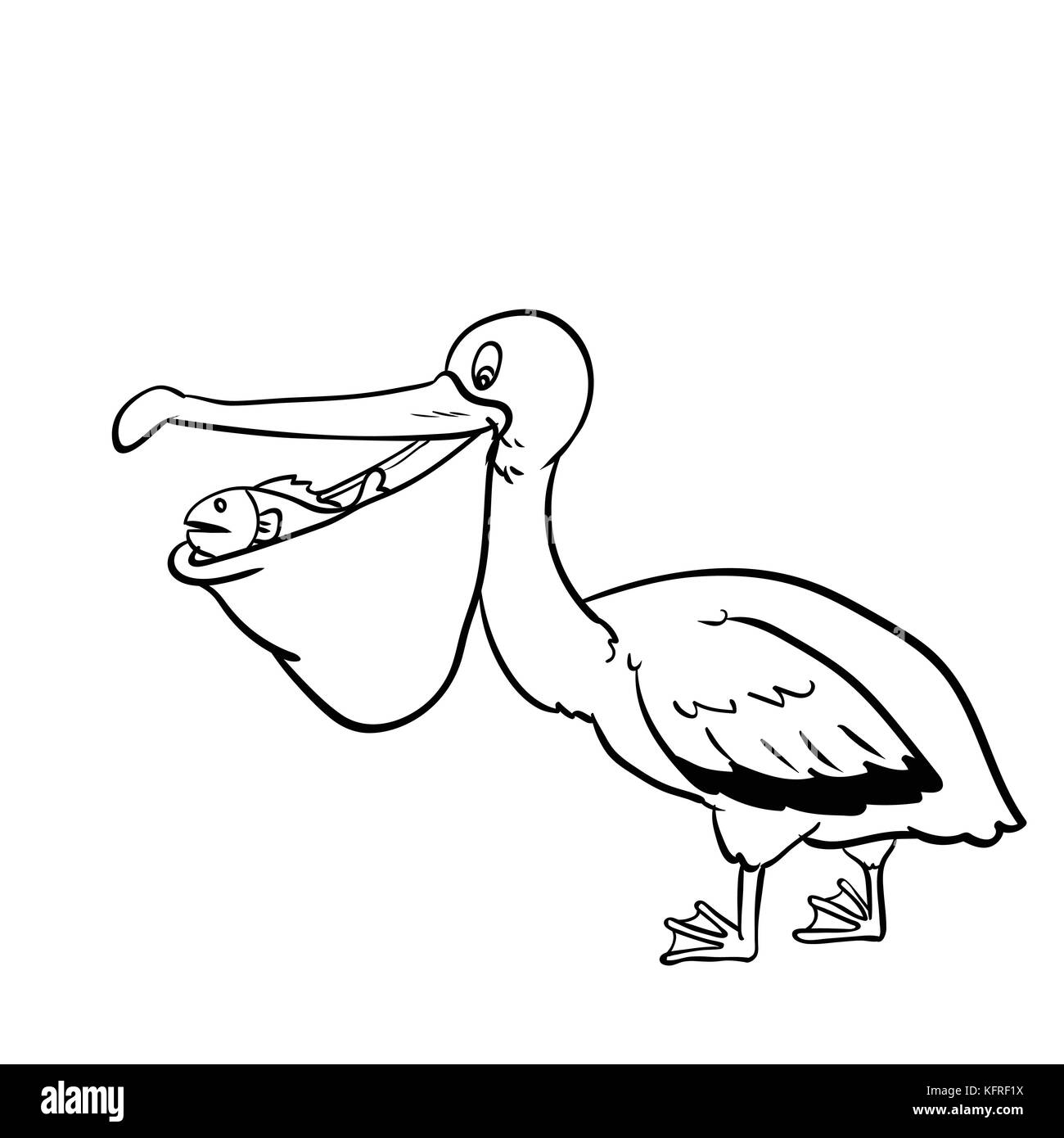 Isolated Pelican Cartoon,  isolated on white background. Black and White simple line Vector Illustration for Coloring Book - Line Drawn Vector Illustr Stock Vector