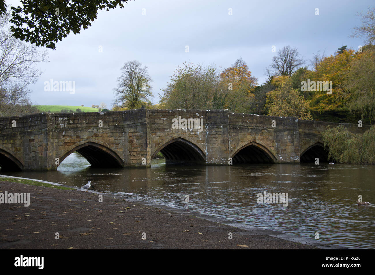 Pack horse bridge over the river Wye, Bakewell, Derbyshire, England, UK