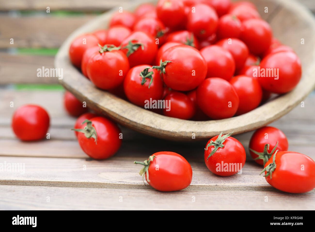 Fresh tomato crop in a wooden bowl Stock Photo - Alamy