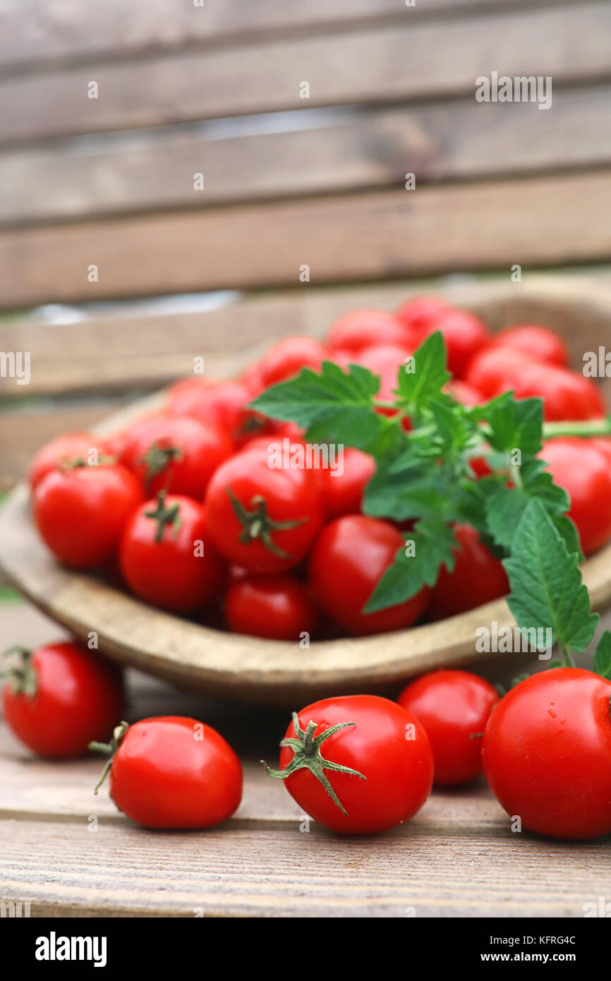 Fresh tomato crop in a wooden bowl Stock Photo - Alamy