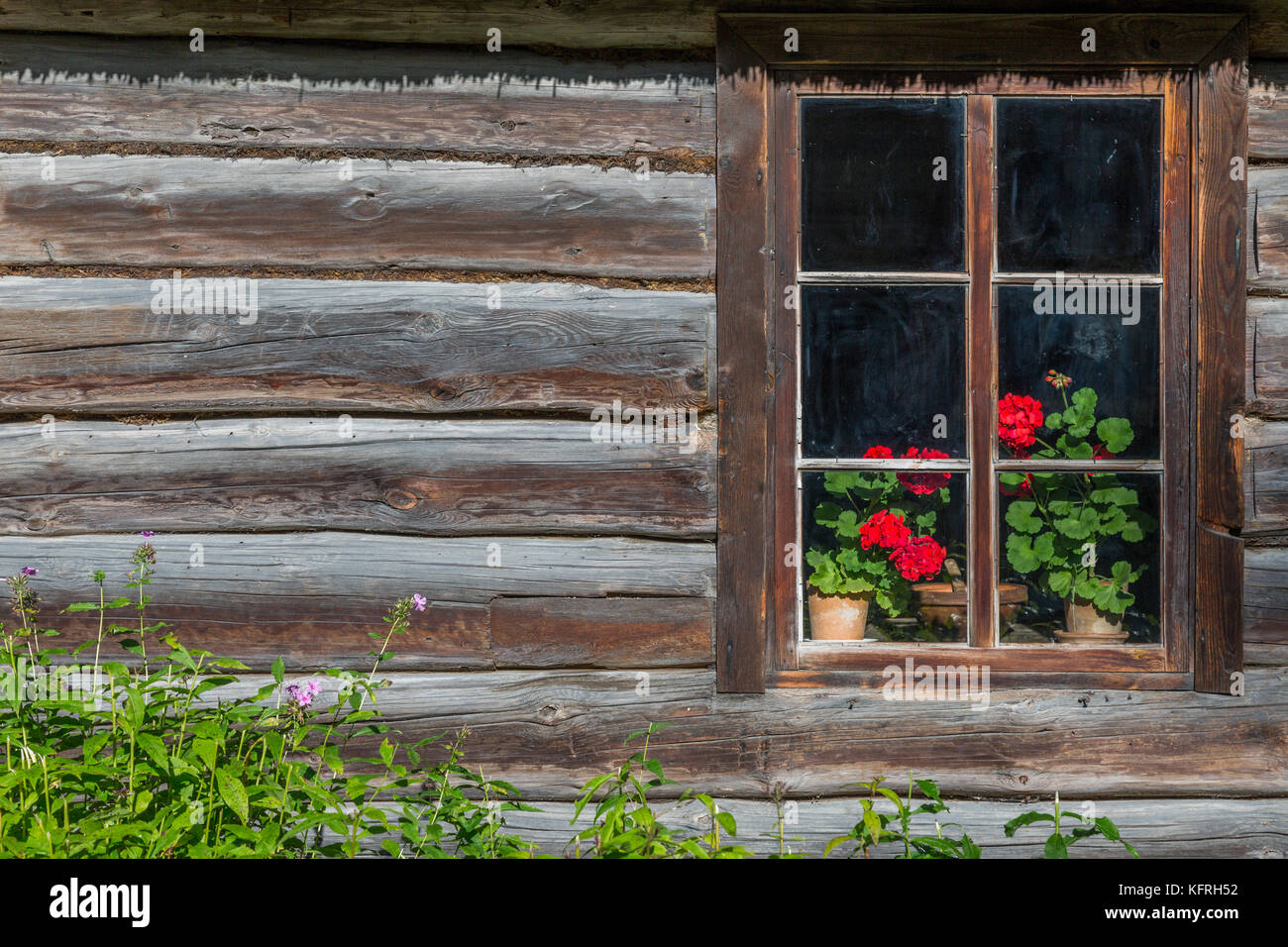Ancient window with flowers old wooden house. Background of wooden ...