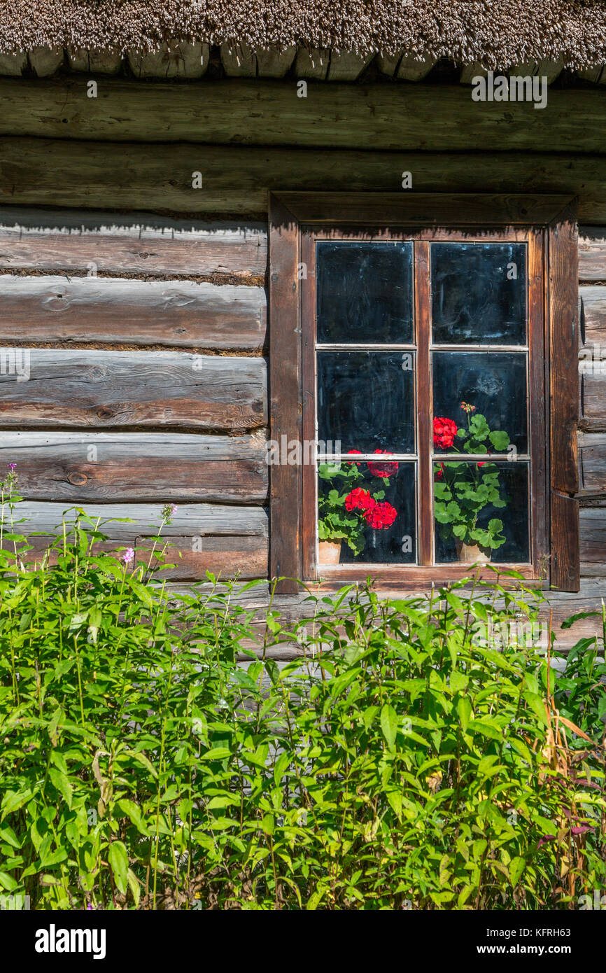 Old-fashioned window with flowers in wooden house Stock Photo - Alamy