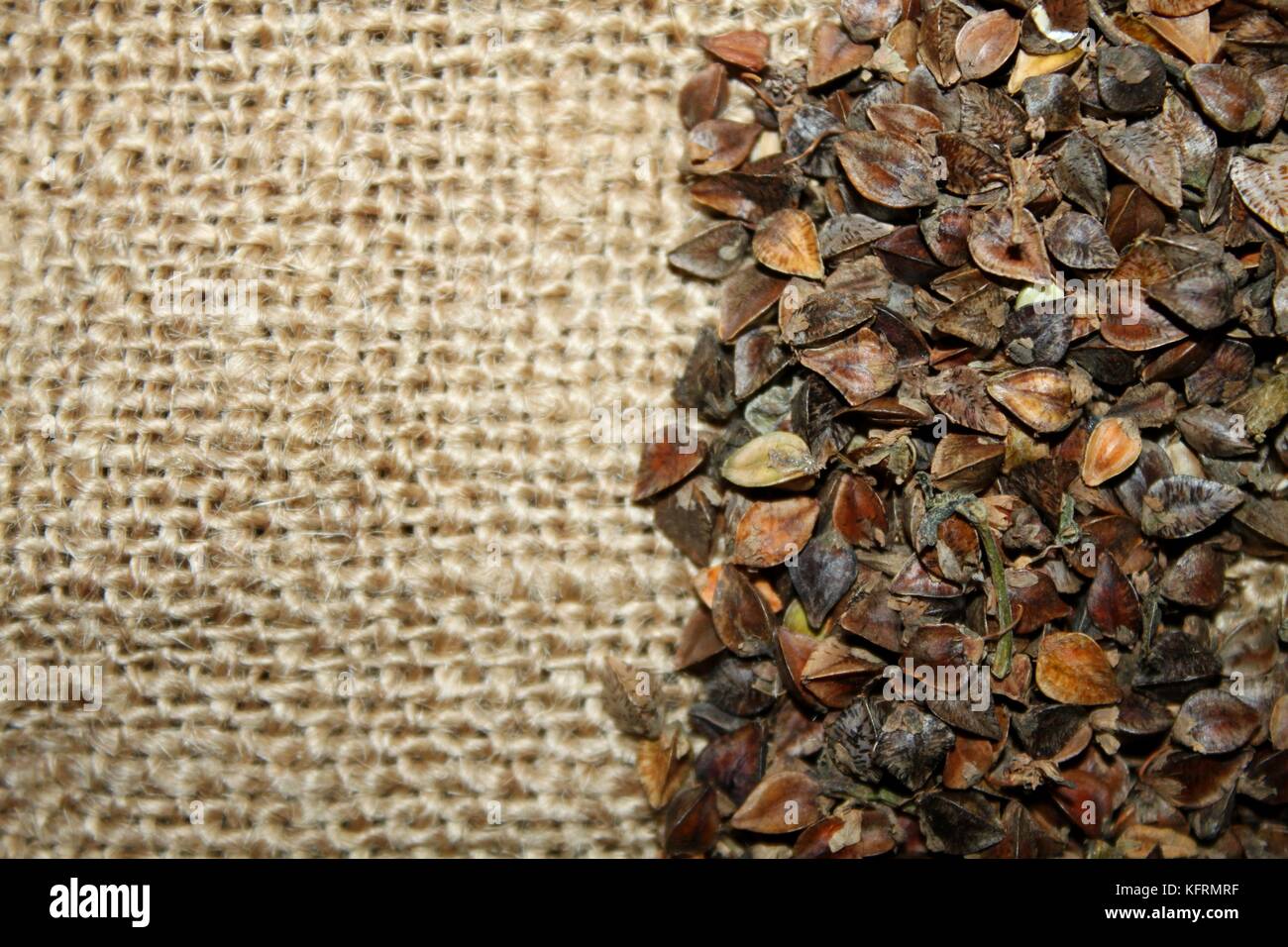 Jute harvest hires stock photography and images Alamy