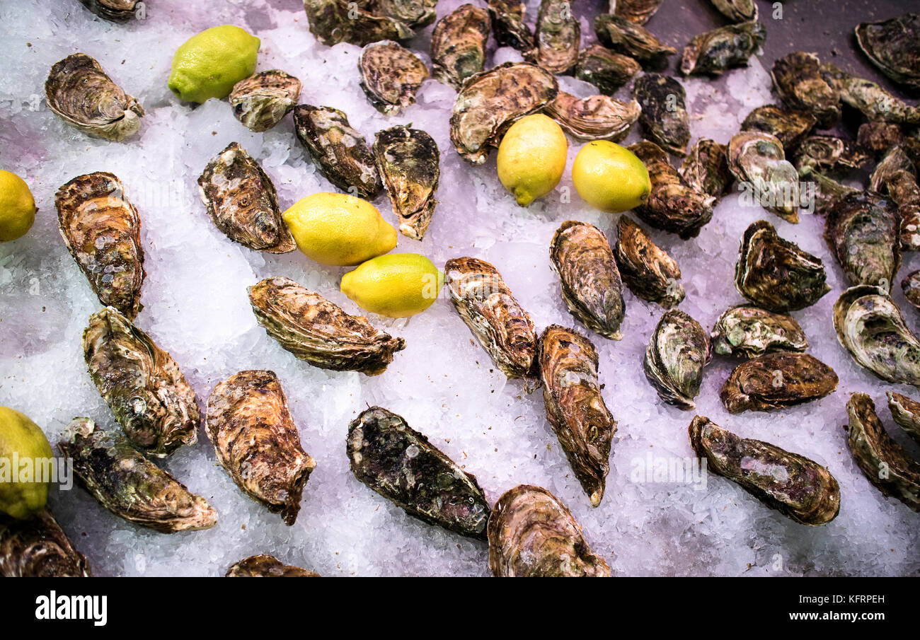 Oyster in market Stock Photo Alamy