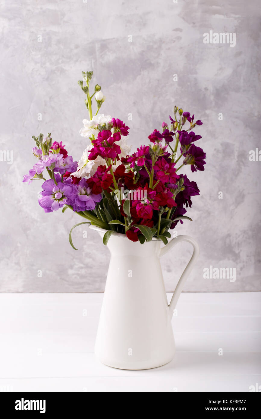 Bouquet of fragrant purple,white,pink and red flowers matthiola in a vase Stock Photo