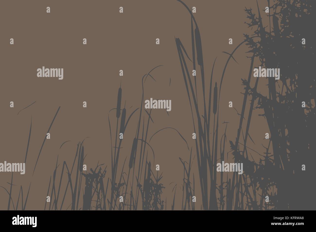 Silhouette of Reed Bush. Vector Illustration Stock Vector