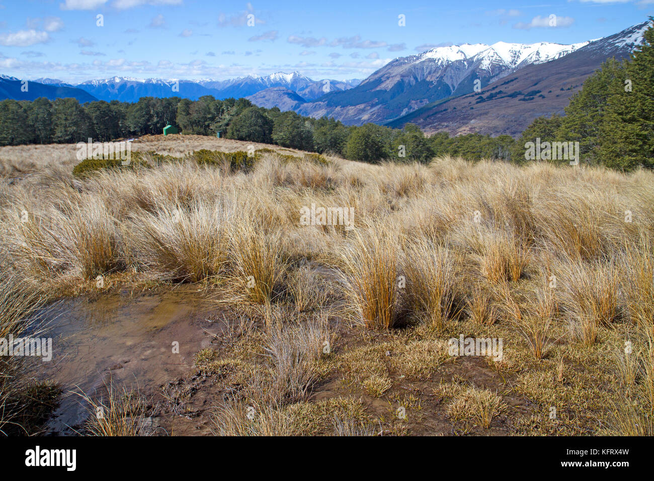 Bealey Spur Hut in Arthur's Pass National Park Stock Photo
