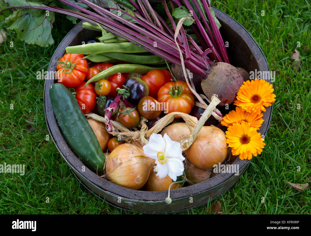 A basket of organic vegetables Stock Photo