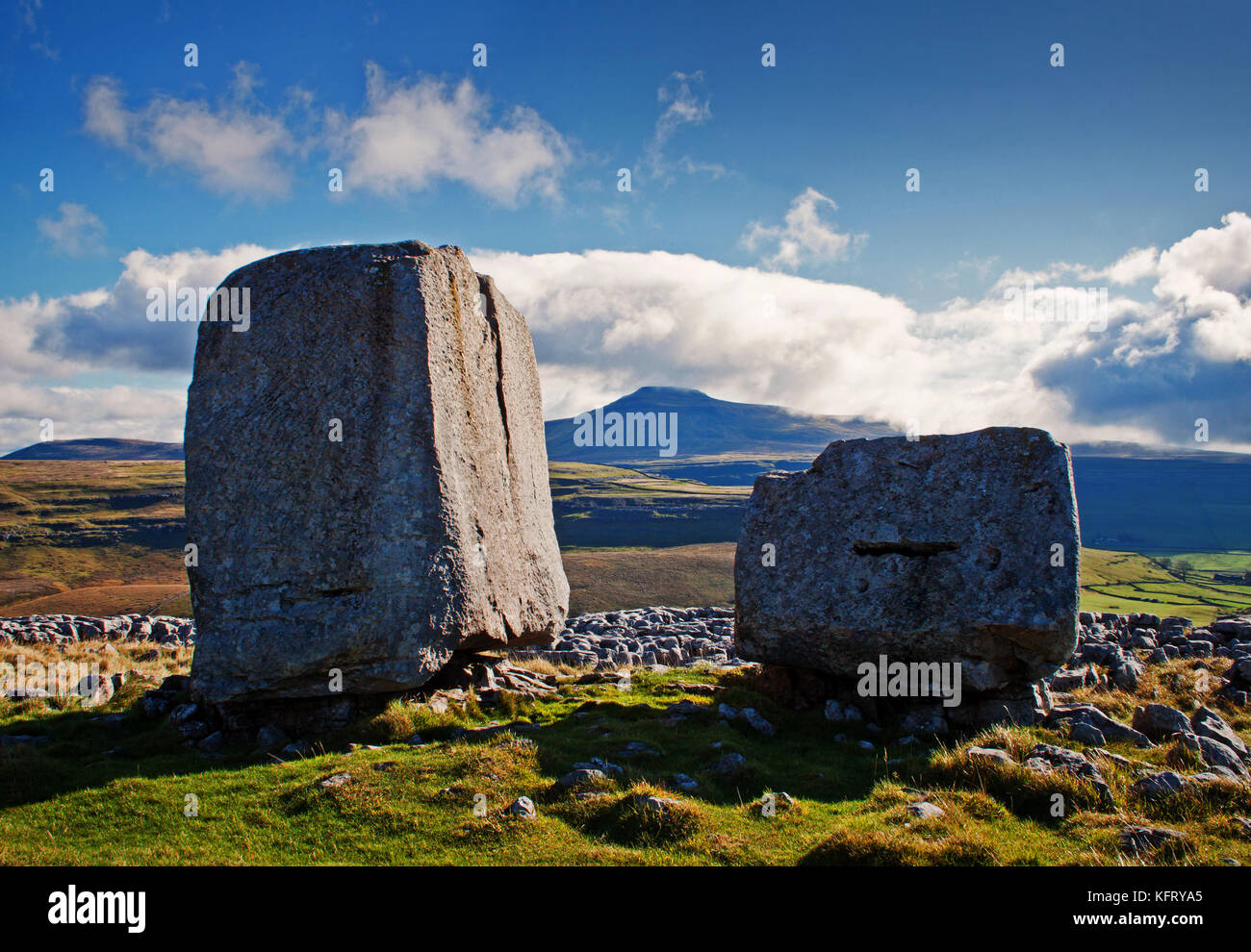 Cheese press hires stock photography and images Alamy
