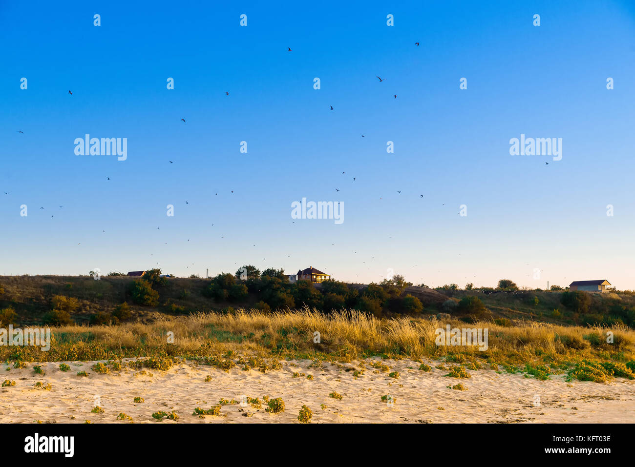 Rural lanscape hill on seashore with birds in sky Stock Photo