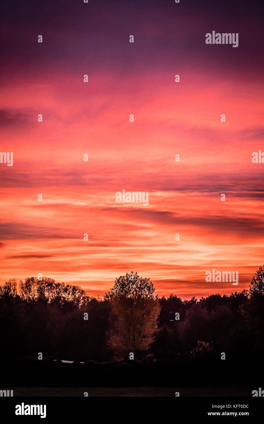 Red sunset tree hi-res stock photography and images - Alamy