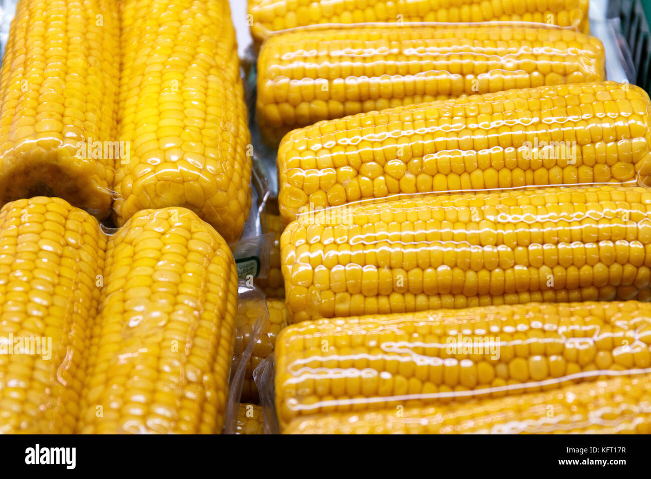 packaged corn cobs for sale Stock Photo Alamy