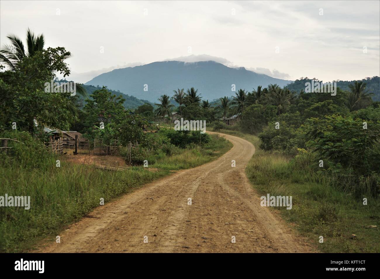 Cambodian Landscape with Palm Trees / Coconut Trees and a Mountain Stock Photo